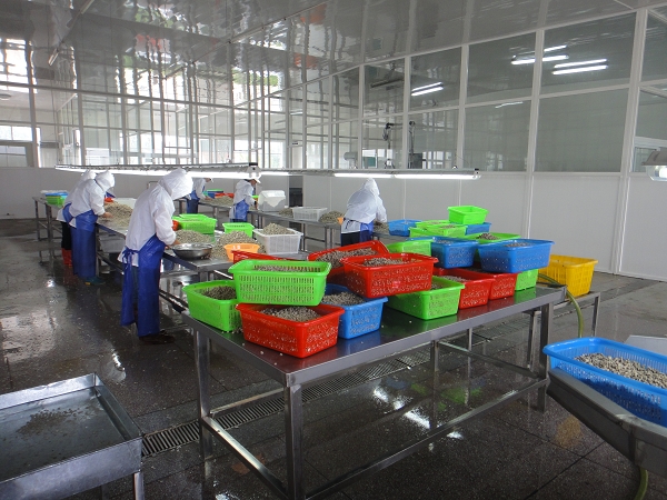 YQ-6          6寸有齒前驅(qū)