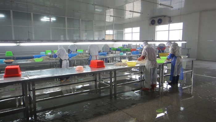 YQD-6       6寸有齒碟剎